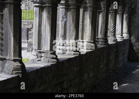 Kloster an den Ruinen der Abtei Sligo, Mainistir Shligigh EIRE Stockfoto