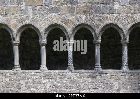 Kloster an den Ruinen von Sligo Abbey Mainistir Shligigh EIRE Stockfoto