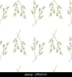 Abstraktes Bild eines blühenden Zweigs eines Kirschbaums mit Blumen, Knospen und Blättern. Hallo Frühling. Isolieren. Design für Web, Tapeten, Begrüßungen oder Einladungen, Poster, Broschüren oder Etiketten, Preis. EPS Stock Vektor