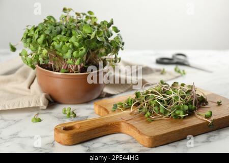 Schüssel und Brett mit frischen Radieschen-Mikrogreens auf einem weißen Marmortisch Stockfoto