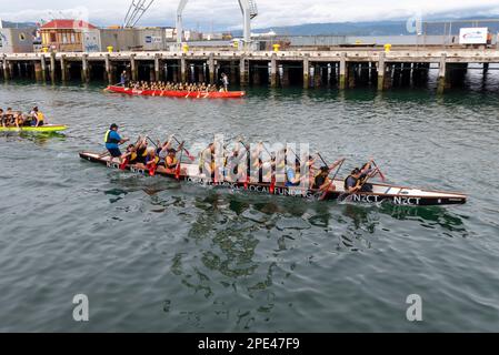 Drachenbootteams trainieren in der Whairepo Lagoon für ein bevorstehendes Wellington Festival Drachenbootruderevent. Uferpromenade, Wellington, Neuseeland Stockfoto