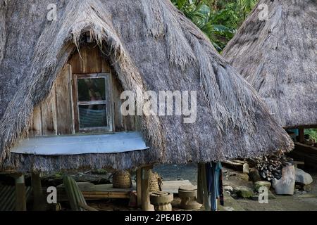 Traditionelle Hütten mit Strohdächern in Banaue auf den Philippinen mit dem Regenwald im Hintergrund. Stockfoto