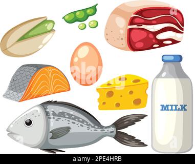 Protein foods group on white background illustration Stock Vektor