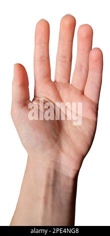 Weibliche Hand, die nach etwas greift. Palmenlinien für die Handflächenlesung. Palmistrie. Hand offen und bereit, zu helfen oder zu empfangen. Isoliert auf weißem Hintergrund. Stockfoto