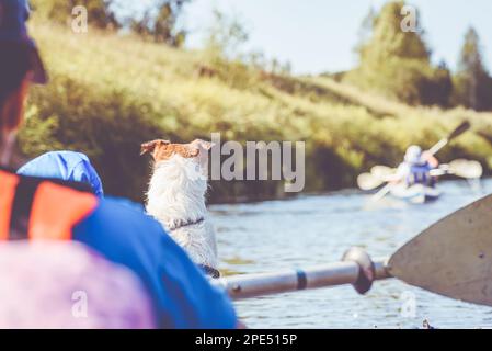 Familie mit Kind und Hund schwimmt in den Sommerferien im Kanu den Fluss hinunter Stockfoto