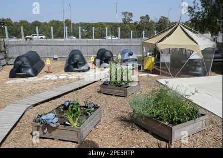 ISRAEL, Bet Yanay, Startup-Unternehmen HomeBiogas LTD, Herstellung und Vertrieb von kleinen Heimbiogas-Kits für ländliche Gebiete, Aufbereitung von Lebensmittelabfällen zur Erzeugung von Biogas Stockfoto