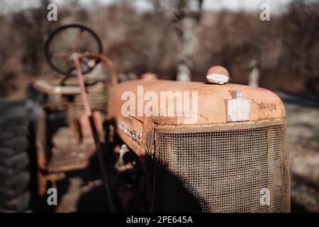 Ein Oldtimer-Traktor mit rostbedecktem Kühlergrill steht auf einem Feld mit Gras und Schmutz Stockfoto