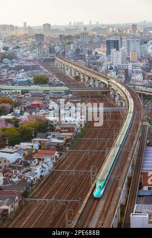 Ein Shinkansen, der berühmte japanische Hochgeschwindigkeitszug, fährt durch das Stadtgebiet von Tokio Stockfoto