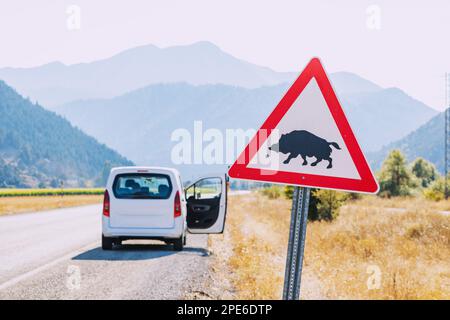 Verkehrsunfall auf dem Hintergrund eines Schildes - achten Sie auf Wildschweine, die die Straße überqueren Stockfoto