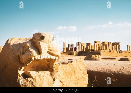 Persepolis, Iran - 8. juni 2022: der Kopf der löwenstatue bleibt in der archäologischen antiken Stadt Persepolis Stockfoto