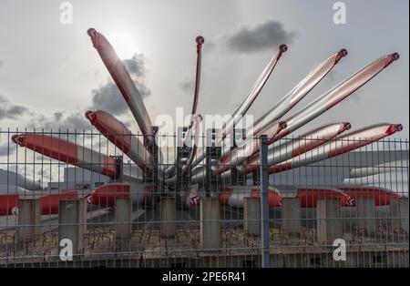 Rotorblätter für Offshore-Windturbinen, Siemens Gamesa Renewable Energy, Werk Cuxhaven, Altenbruch, Cuxhaven, Deutschland Stockfoto