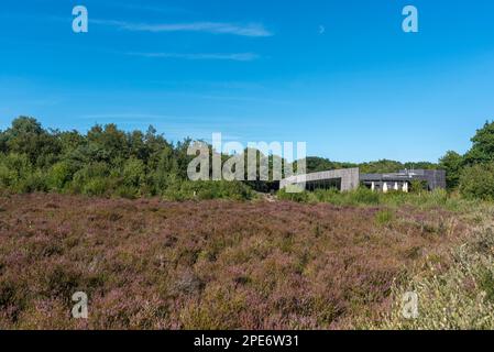 Buitencentrum im Naturschutzgebiet Schoorlser Duenen, Schoorl, Nordholland, Niederlande Stockfoto