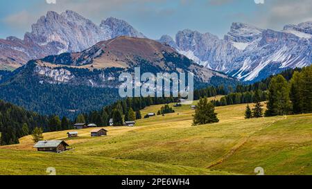 Herbstwiesen und Berghütten an der Alpe di Siusi, hinter den schneebedeckten Gipfeln der Geisler und Puez Group, Val Gardena und Dolomiten Stockfoto