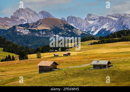 Herbstwiesen und Berghütten an der Alpe di Siusi, hinter den schneebedeckten Gipfeln der Geisler und Puez Group, Val Gardena und Dolomiten Stockfoto