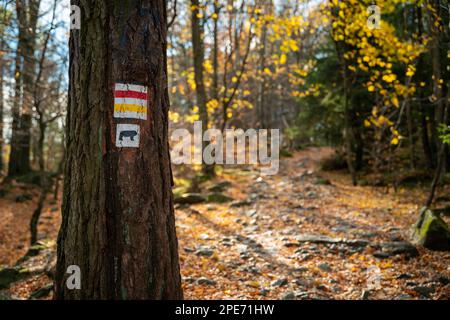 Bezeichnung für Touristenpfade. Rot und Gelb. Polnische Berge Stockfoto