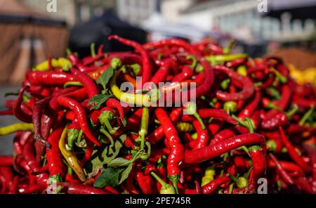 Auf dem Straßenmarkt scheint die Sonne auf einen Haufen verdrehter, langer, roter Paprika, die im Nahbereich zu sehen sind Stockfoto