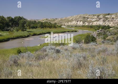 Blick auf den Fluss durch Ranch Country, Little Missouri River, Badlands, North Dakota (U.) S.A. Stockfoto