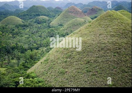 Kegelförmige Karsthügel mit Gras bedecktem Kalkstein, Chocolate Hills, Bohol Island, Philippinen Stockfoto