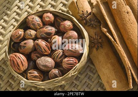 Muskatnuss (Myristica dugrans) mit Mace (äußere Samenschale), echtem Zimtbaum (Cinnamomum verum) und Sternanissamen (Illicium vernum), St. Lucia Stockfoto