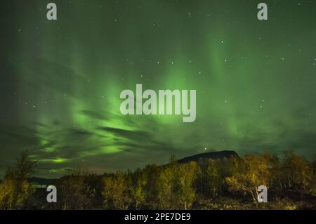 Aurora Borealis fiel in der Nacht, Saana fiel, Kilpisjarvi, Enontekio, Lappland, Finnland Stockfoto