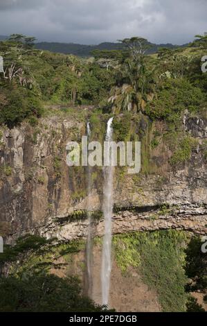 Chamarel-Wasserfall von St. Denis und Viande Salee Rivers, Black River Gorges N. P. Black River District, West Mauritius Stockfoto