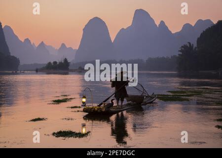 Traditioneller Fischer mit ausgebildeten Kormoranen, der bei Sonnenaufgang auf einem Bambusfloß auf einem Fluss im Karstgebiet, dem Li-Fluss, Guilin, Guangxi Zhuang steht Stockfoto