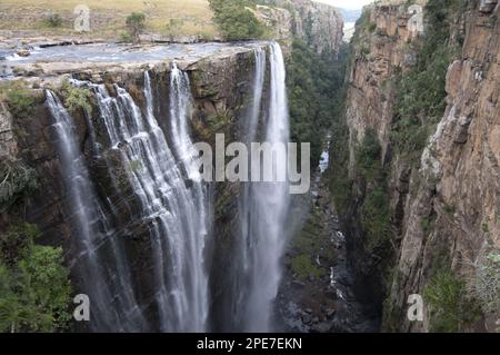 Blick auf den vorhangförmigen Wasserfall, der in den Slot Canyon fällt, Magwa Falls, Magwa River, in der Nähe von Mbotyi, Pondoland, Ostkap (Transkei), Südafrika Stockfoto