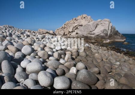 Kieselsteine am Strand, Cabo Pulmo National Marine Park, Baja California Sur, Mexiko Stockfoto