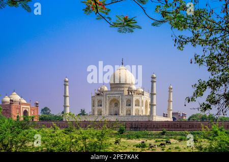 Die Riverfront Terrace des Taj Mahal besteht aus einem ununterbrochenen roten Sandsteinband mit aufwendiger Dekoration in Relief und Intarsien Stockfoto