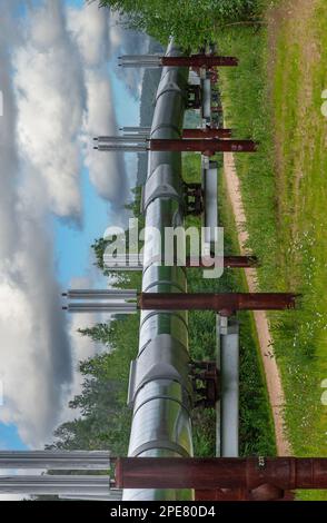 Goldstream, Alaska, USA - 26. Juli 2011: Alyeska Trans-Alaska Pipeline Aussichtspunkt. Lange Sicht auf die Pipeline unter blauer Wolkenlandschaft in grünem Baum an Stockfoto