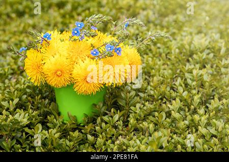 Ein Strauß Löwenzahn und blaue Blumen in einem Eimer auf dem Gras in der Sonne. Kopierraum. Selektiver Fokus. Stockfoto