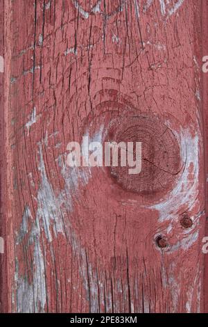 Nahaufnahme einer roten Holzverkleidung mit abblätternder Farbe auf der alten Scheune in New England. Stockfoto