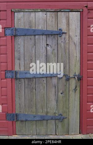 Ungewöhnlich große Scharniere an alten Holztüren. Rote Seitenverkleidung mit Türgriff. Befindet sich an der Connecticut State Park Hütte. Stockfoto