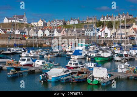 Blick im Frühling auf den Hafen von Findochty auf Moray Firth, Moray, Schottland, Vereinigtes Königreich Stockfoto