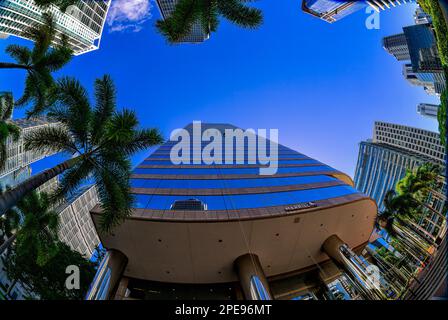 Scheibenwaschmaschinen arbeiten am Bank of America Office Tower in Downtown Miami Stockfoto