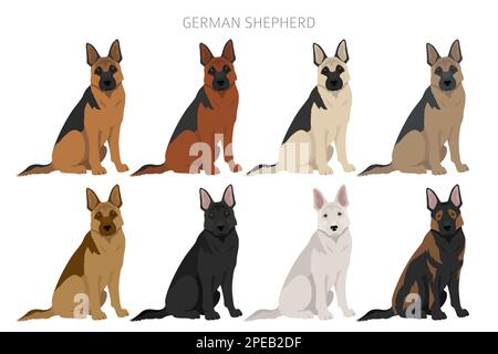 Deutscher Schäferhund in verschiedenen Posen und Fellfarben Cliparts. Vektorgrafik Stock Vektor