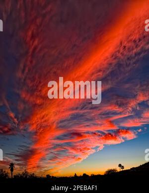 Sonnenuntergang, Tucson, AZ Stockfoto
