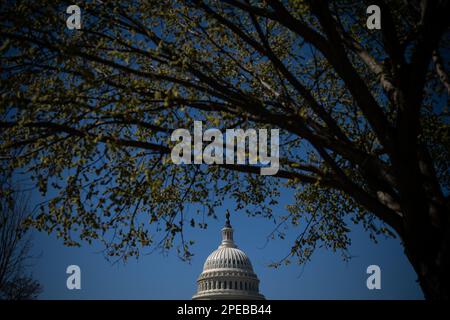 Washington, USA. 15. März 2023. Eine allgemeine Ansicht der USA Capitol Building, in Washington, DC, am Mittwoch, den 15. März, 2023. (Graeme Sloan/Sipa USA) Kredit: SIPA USA/Alamy Live News Stockfoto