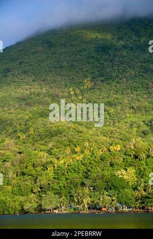 Regenwald, Vulkan Gunung Banda API, letzter Ausbruch 1988, Banda Neira, Molukken, Banda-Meer, Indonesien Stockfoto