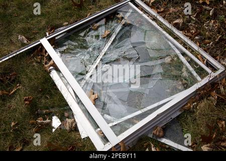 Heruntergefallenes, zerbrochenes Fenster mit vielen Glasrissen auf Gras und ein paar getrockneten Blättern in der Nähe. Schließen. Stockfoto