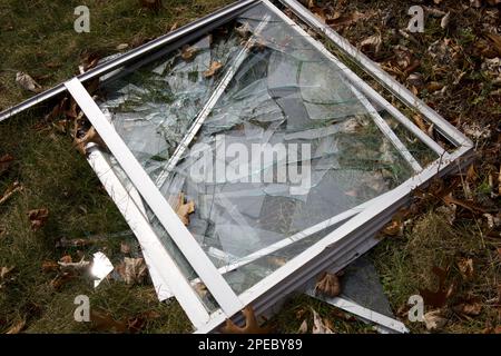 Heruntergefallenes, zerbrochenes Fenster mit vielen Glasrissen auf Gras und ein paar getrockneten Blättern in der Nähe. Schließen. Stockfoto