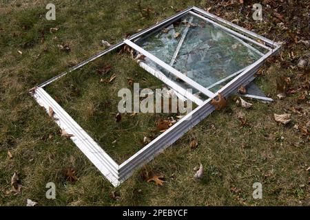 Heruntergefallenes, zerbrochenes Fenster mit vielen Glasrissen auf Gras und ein paar getrockneten Blättern in der Nähe. Stockfoto