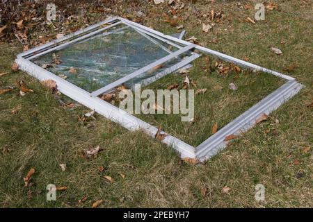 Heruntergefallenes, zerbrochenes Fenster mit vielen Glasrissen auf Gras und ein paar getrockneten Blättern in der Nähe. Schließen. Stockfoto