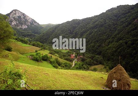 Alba County, Rumänien, 2001. Bergweiden mit traditionellen Heuhaufen. Sub-Piatra-Dorf im Tal gesehen. Stockfoto