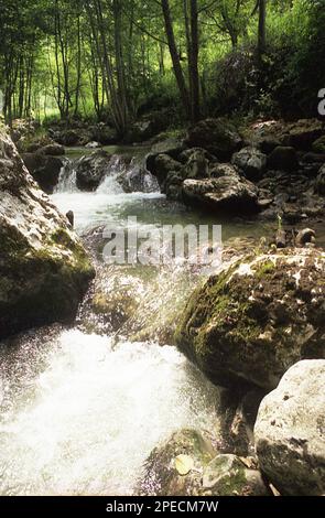 Alba County, Rumänien, 2001. Valea Morilor Creek im Apuseni-Gebirge. Stockfoto