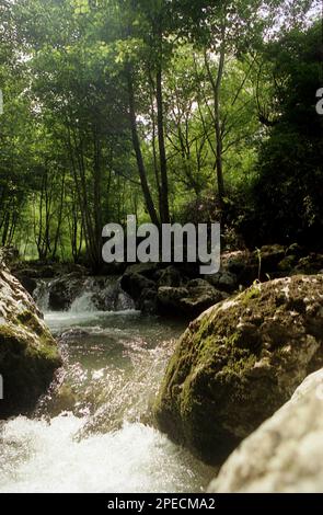 Alba County, Rumänien, 2001. Valea Morilor Creek im Apuseni-Gebirge. Stockfoto