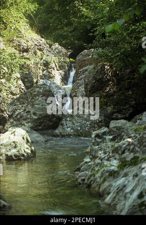 Alba County, Rumänien, 2001. Valea Morilor Creek im Apuseni-Gebirge. Stockfoto