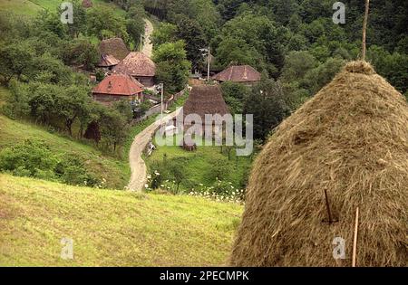 Alba County, Rumänien, 2001. Die Landstraße führt durch das Dorf Sub Piatră im Apuseni-Gebirge. Traditioneller Heuhaufen auf der Weide in der Nähe. Stockfoto