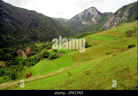 Alba County, Rumänien, 2001. Landschaft im Apuseni-Gebirge mit Weiden an einem Weideland. Stockfoto