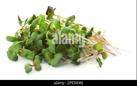Haufen frischer Rettich-Mikrogrüner auf weißem Hintergrund Stockfoto